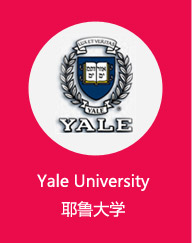 Yale University耶鲁大学