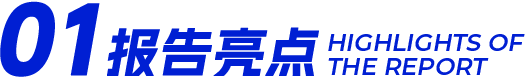 报告亮点