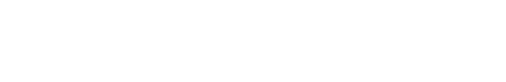 报告目录