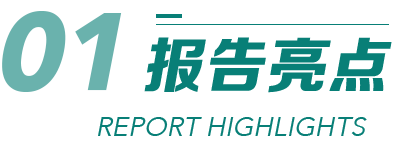 报告亮点