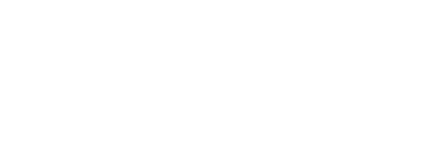 报告目录