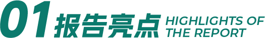 报告亮点