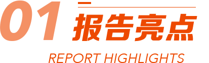 报告亮点