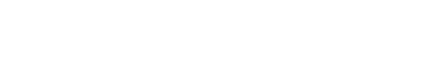报告目录