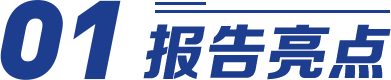 报告亮点