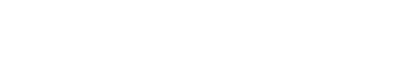 报告目录