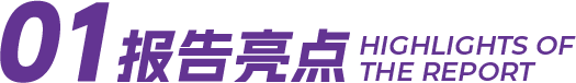 报告亮点