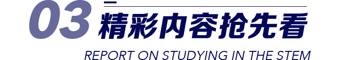 精彩内容抢先看