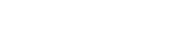 报告目录