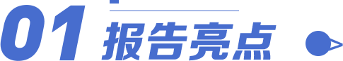 报告亮点