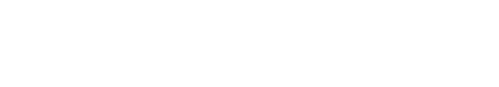 报告目录