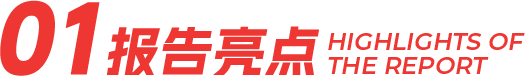 报告亮点
