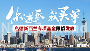 新西兰进取计划