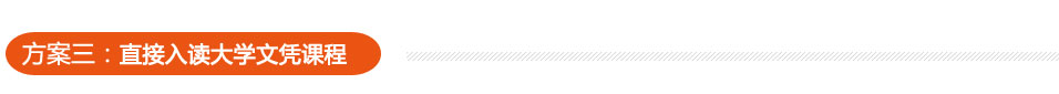 方案三:直接入读大学文凭课程