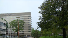 蒂尔堡大学