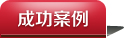 成功案例
