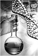 亚洲生物医学工程，广州启德，理工科留学