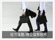 经济信息/商业信息技术