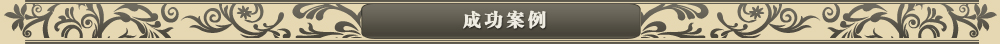 成功案例