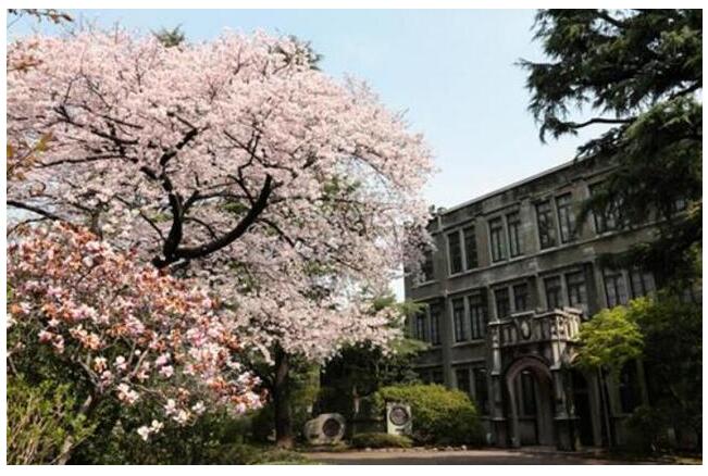 青山学院大学