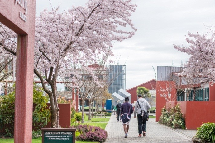 新西兰南方理工学院